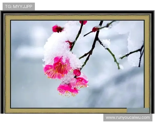 美丽高贵的梅花在赌场中的应用与其带来的幸运与财富象征意义