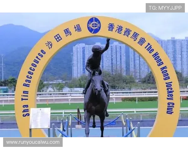 HKJC app国际首页全面介绍与使用指南帮助玩家轻松掌握最新赛事信息